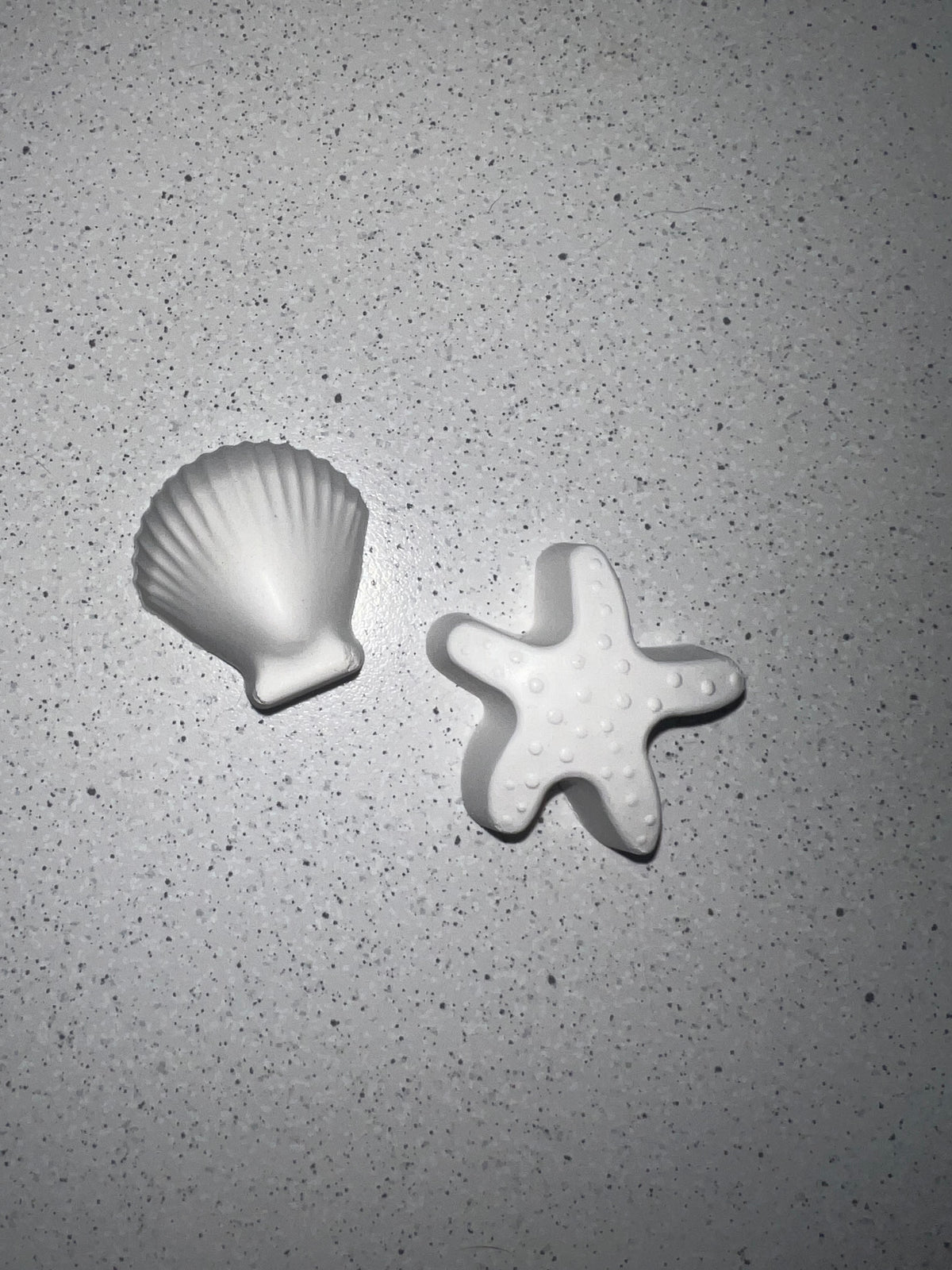 Mini Seashell Magnet Set