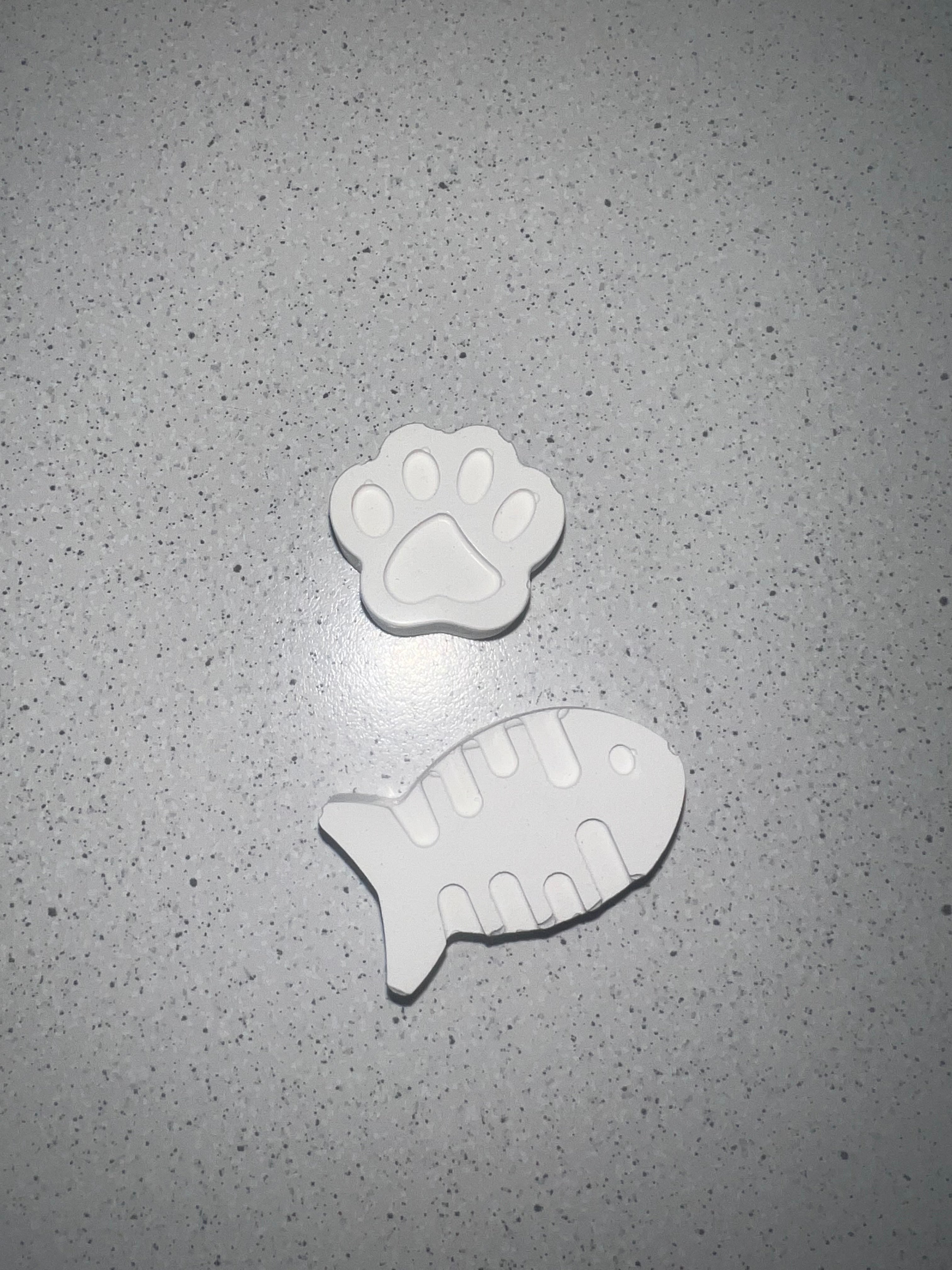 Mini Paw and Fishbone Magnet Set